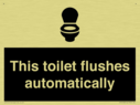 this-toilet-flushes-automatically~